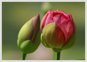 Jak zorganizować domowe biuro - 10 praktycznych porad