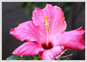 5 zdrowych nawyków na poranek, które zmienią Twój dzień